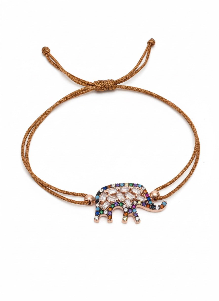 Roma - Elafante della Fortuna